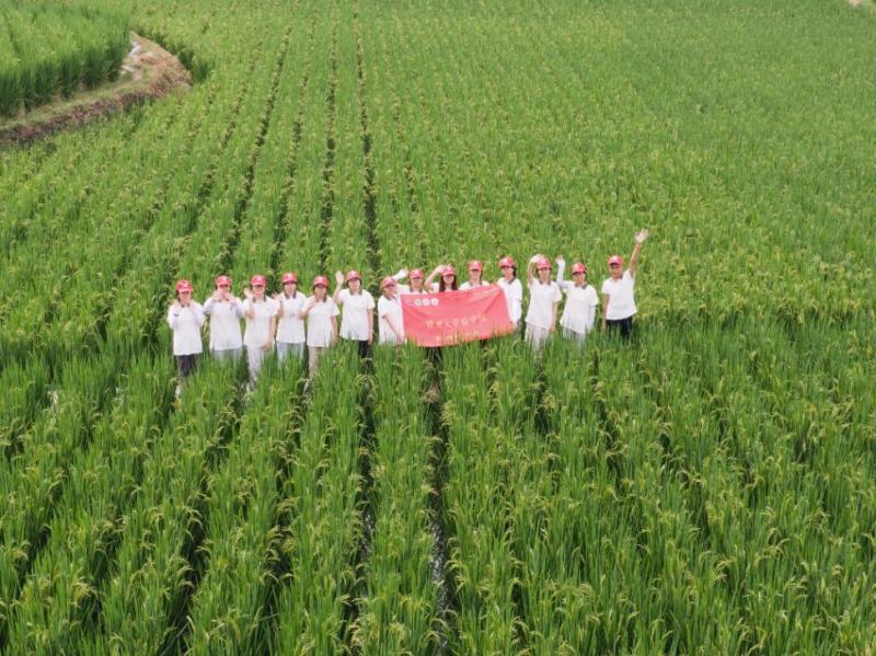 貴州大學農學院“黔農遺韻”實踐隊走進黔東南。