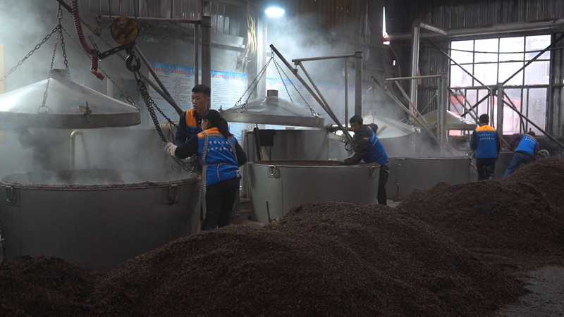 忙碌的產酒車間。 吳艷禹 攝.JPG