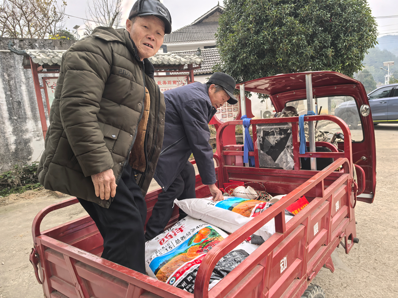 施秉縣雙井鎮為中藥材種植戶發放肥料。