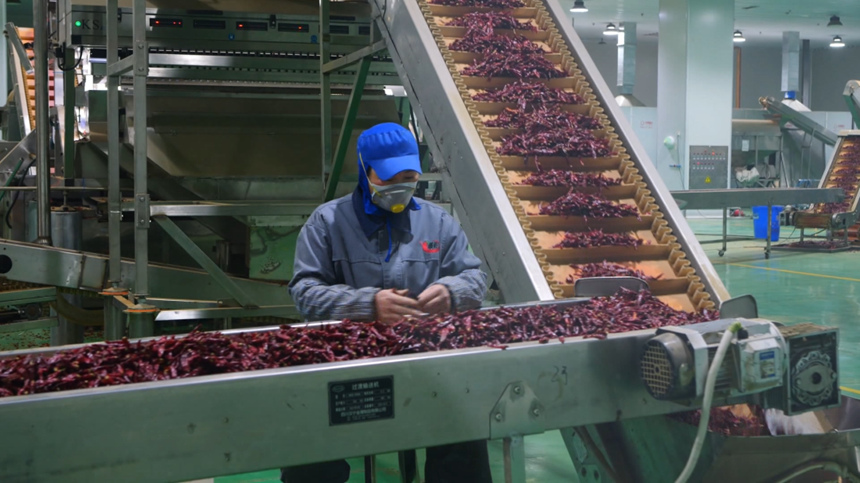 西秀區醫藥及旅游食品產業基地呈現集群發展新態勢。