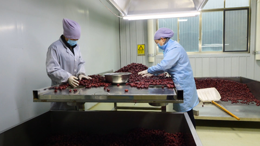 西秀區醫藥及旅游食品產業基地呈現集群發展新態勢。