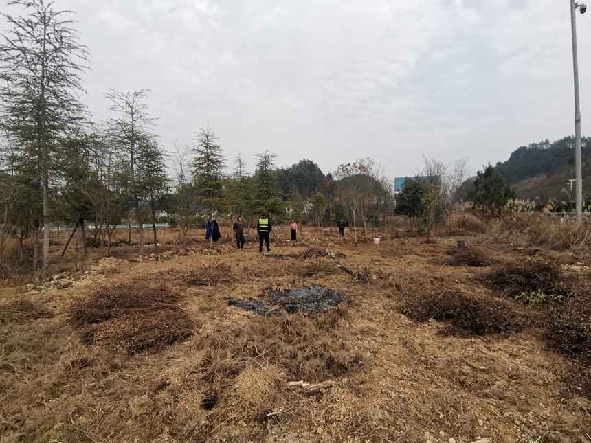 3 圖為執法人員向村民解釋在高速公路公路用地開墾種植作物的危害及普法宣傳3