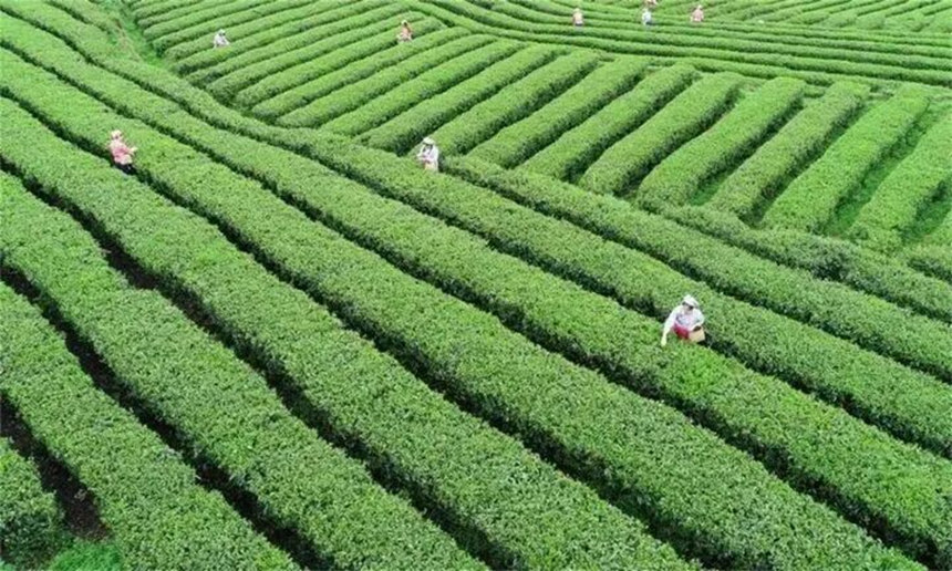 奮力譜寫工業強市新篇章。