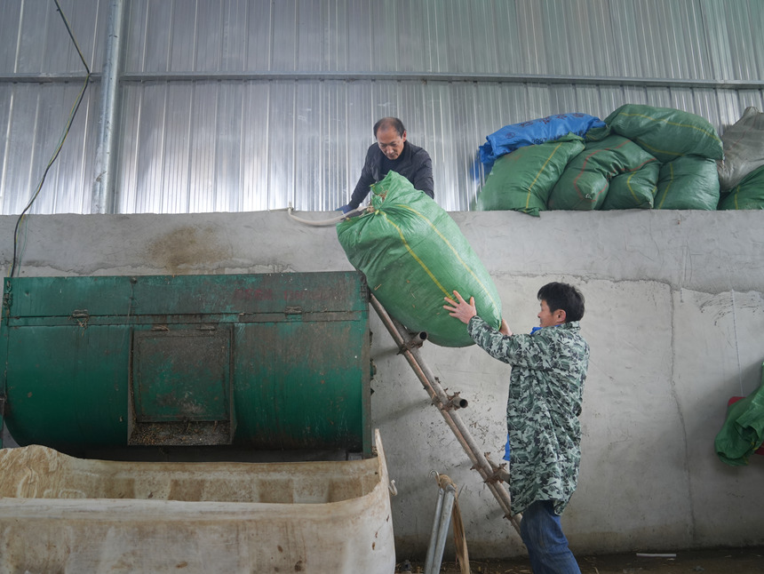 平壩最大熟食生豬養(yǎng)殖場投用。