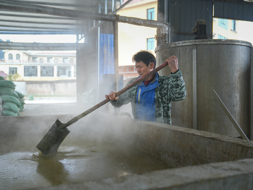 平壩最大熟食生豬養(yǎng)殖場投用。