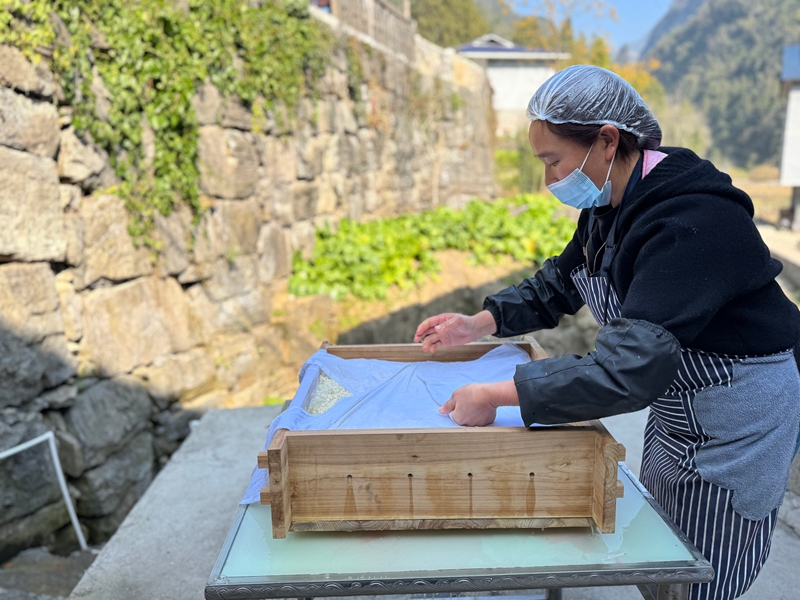松桃瓦溪村：酸湯豆腐成鄉村振興大產業。