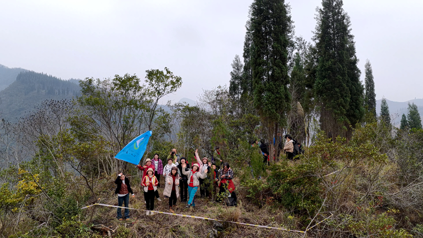 圖為“橙香漫山野，徒步拾冬趣”首屆椪柑節現場。