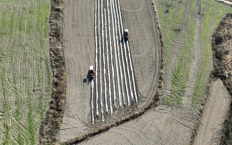 松桃烏羅鎮：機械化種植助推馬鈴薯產業提質增效。