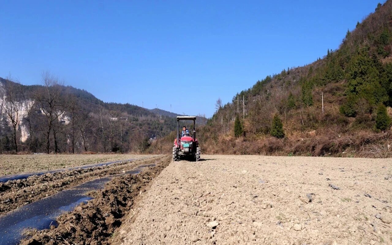 松桃烏羅鎮：機械化種植助推馬鈴薯產業提質增效。
