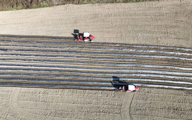 松桃烏羅鎮：機械化種植助推馬鈴薯產業提質增效。