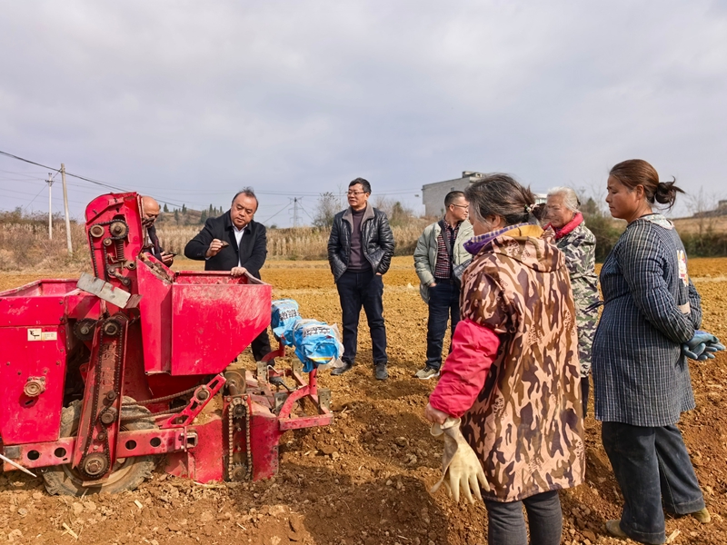 村民在基地務工 (1).jpg