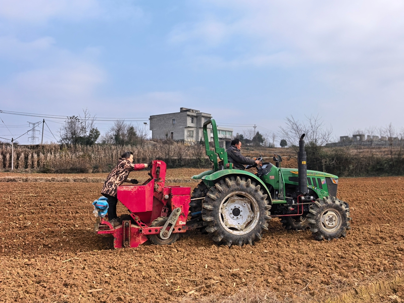 村民在基地務工。