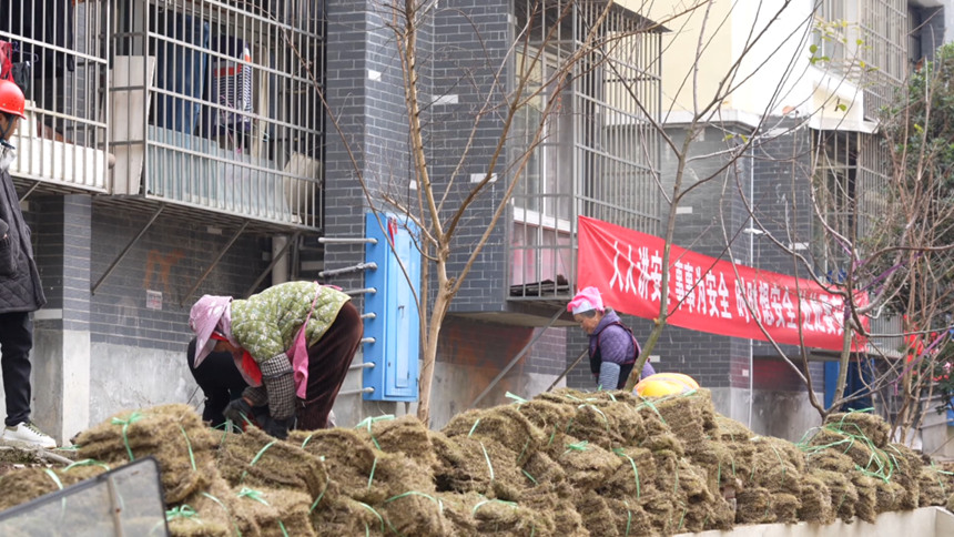 小改造撬動大民生&nbsp;老小區(qū)煥發(fā)新活力。