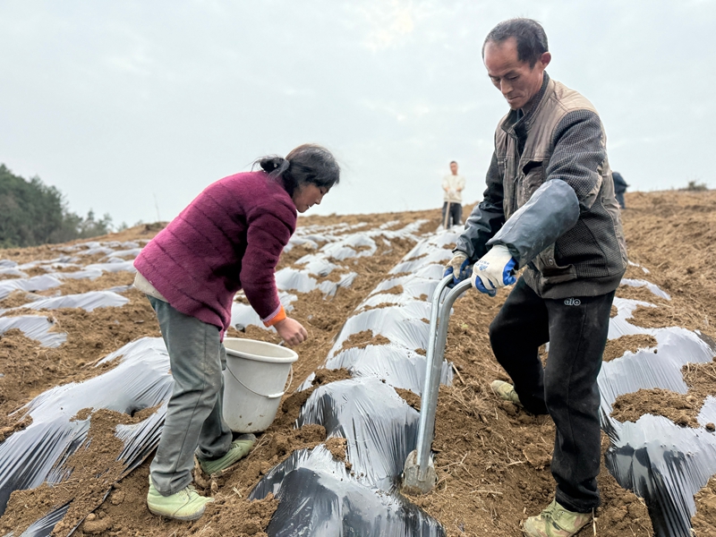 大地鄉(王靖云 攝)