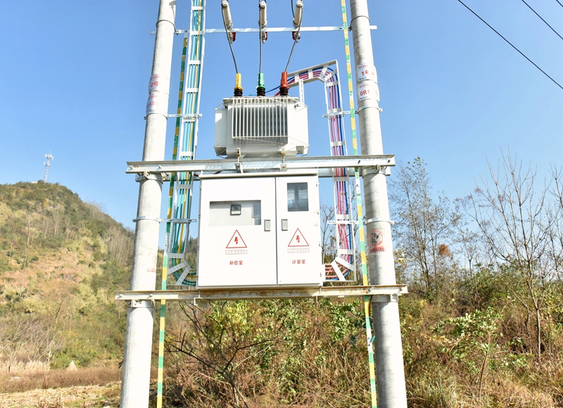 普定供電局實施業擴延伸項目讓養殖場“零投資”用電 王進  攝