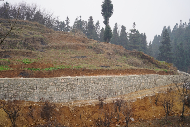 2026年1月15日，納雍縣沙包鎮秀才壩村，機耕道的堡坎砌得平整堅固。.JPG
