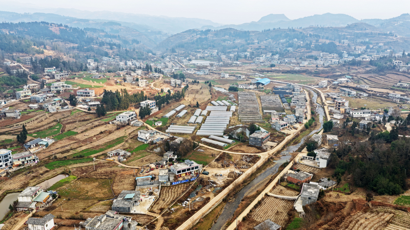 可界村村容村貌一角。