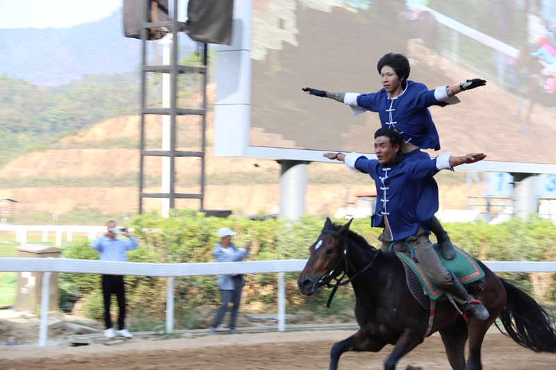 馬術表演。