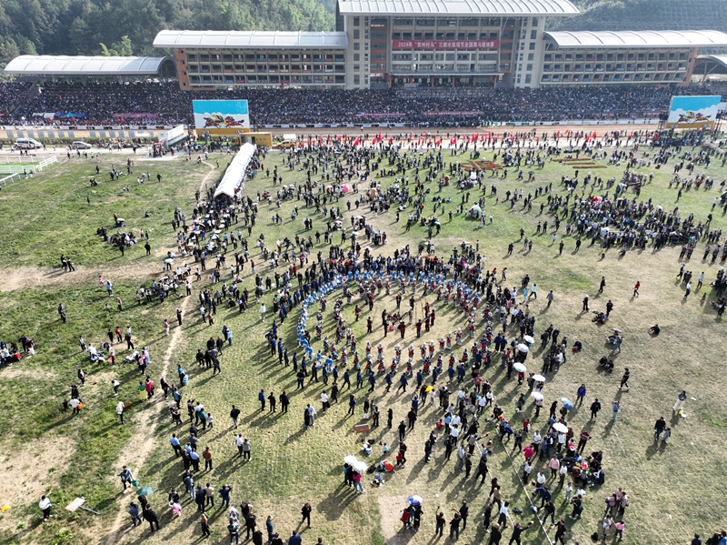 貴州村馬活動現場。