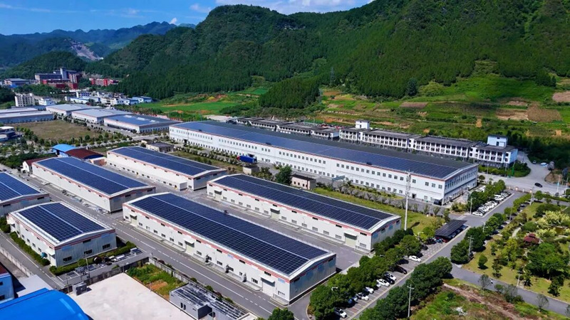 貴茶集團抹茶生產基地。