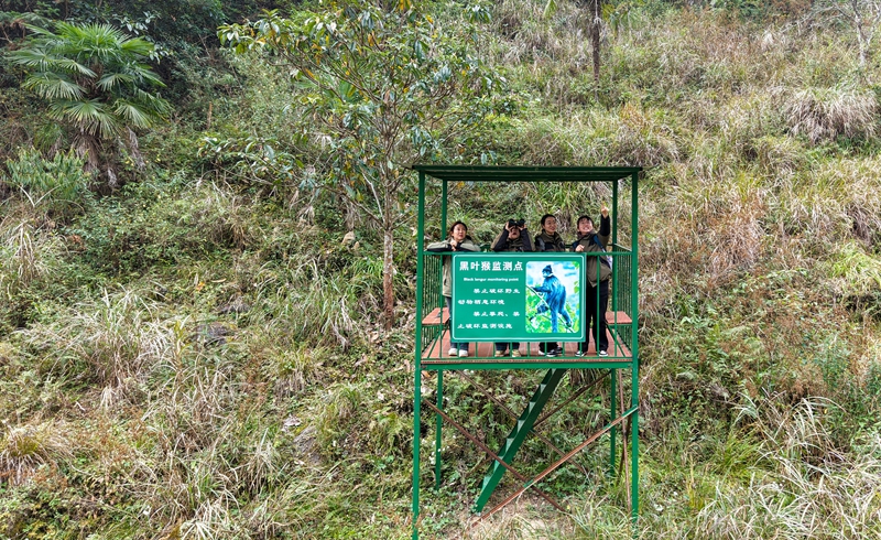 1 貴州大沙河國(guó)家級(jí)自然保護(hù)區(qū)護(hù)林員在開(kāi)展巡護(hù)工作。