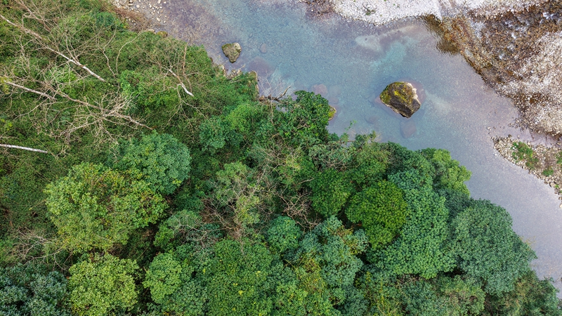 6 在貴州大沙河國(guó)家級(jí)自然保護(hù)區(qū)拍攝的風(fēng)光。