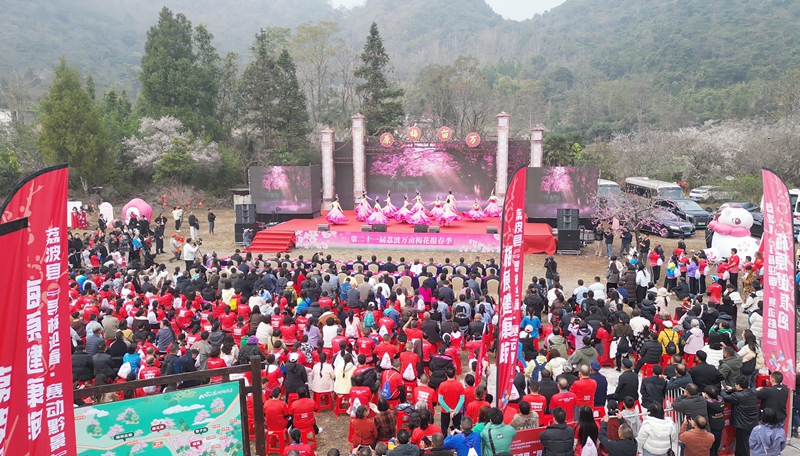 1 圖為1月18日,馬踏春風(fēng)·美“荔”相約——第二十一屆荔波萬(wàn)畝梅花報(bào)春季活動(dòng)在荔波洞塘萬(wàn)畝梅原盛大開(kāi)幕。胡浩杭 攝.jpg