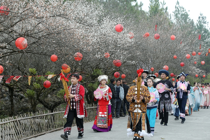 2 圖為“梅花仙子”NPC沿梅林巡游。戴友維 攝.JPG