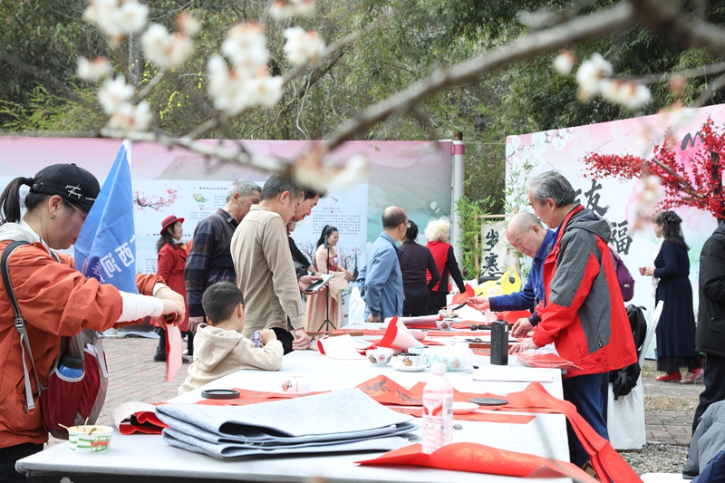 3 圖為“歲寒三友”文化體驗(yàn)區(qū)墨香氤氳。戴友維  攝.JPG