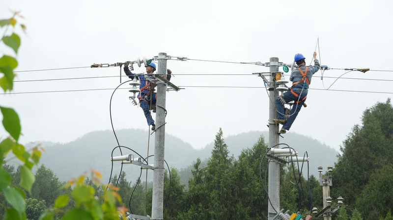 貴州電網(wǎng)銅仁思南供電局為紅薯加工企業(yè)及周邊的用戶架設(shè)10千伏線路，解決用電難題。思南供電局供圖