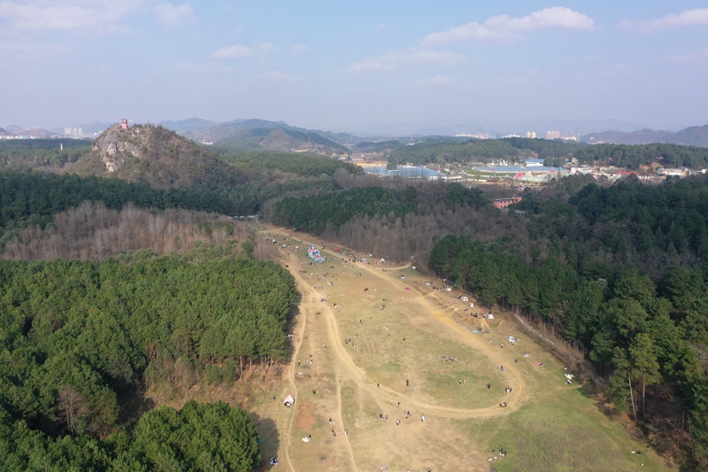 1、都溪林場(chǎng)百畝草坪。