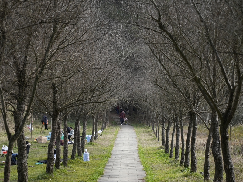 6、都溪林場(chǎng)內(nèi)步道旁露營的游客。