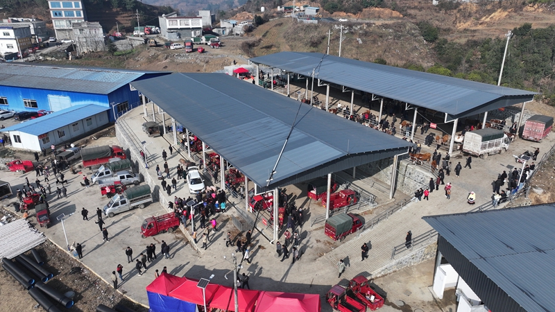 倮柱牲畜交易市場側面 謝永奇 攝