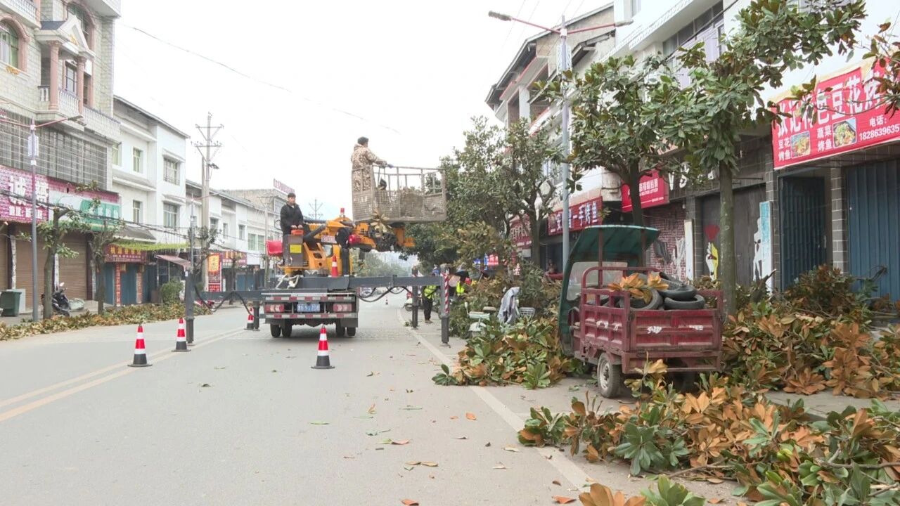 圖為綠化修剪。