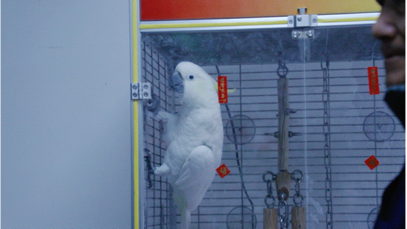 凱里市動物園正在采取防寒保暖措施。