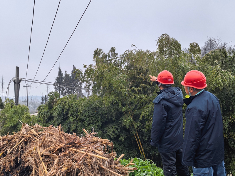 南方電網貴州安順市郊供電局工作人員前往轄區內觀冰點進行觀冰,實地了解覆冰情況,提前謀劃,確保轄區群眾用電可靠(曾慶禹攝).jpg
