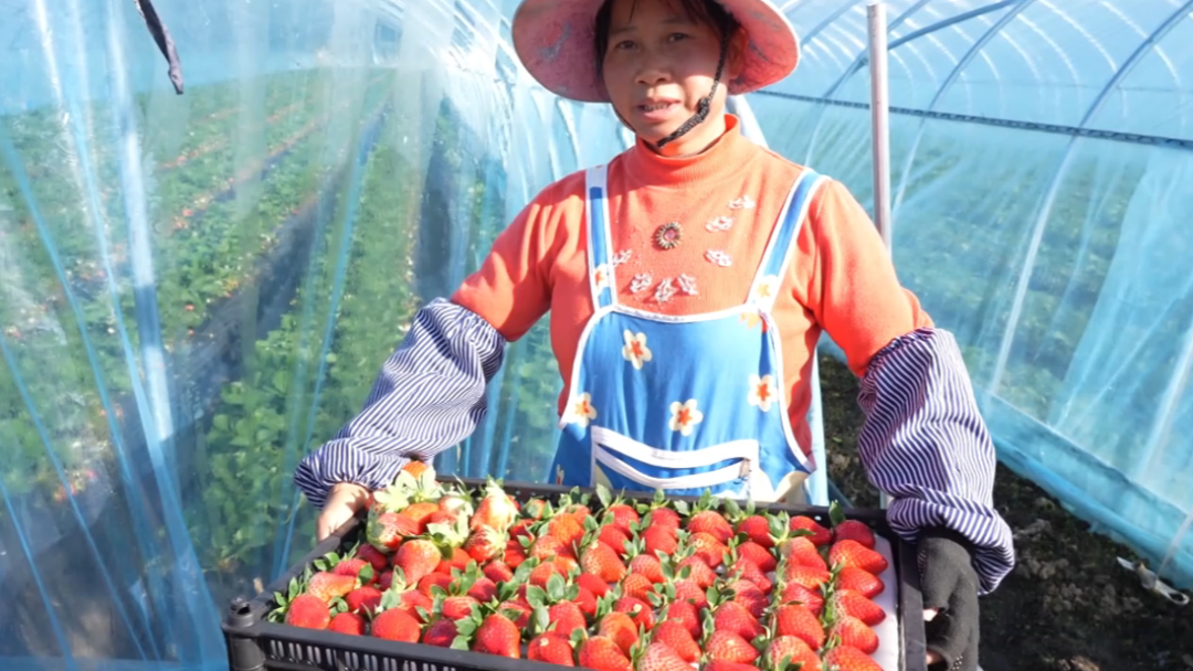 西秀區冬季經濟激活家門口就業。