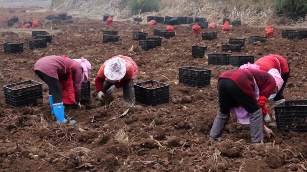 西秀區冬季經濟激活家門口就業。