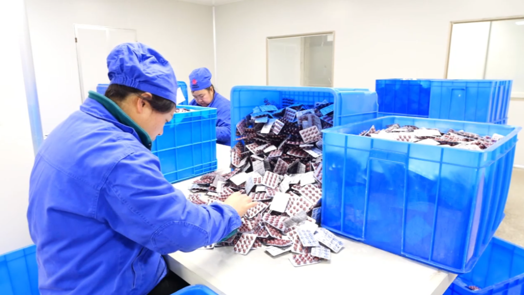 西秀區冬季經濟激活家門口就業。