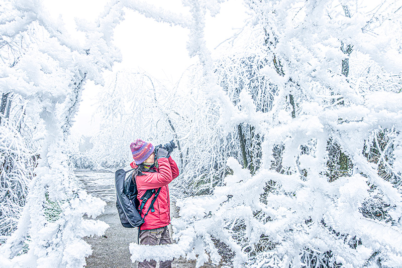 攝影愛好者在拍攝。張更生攝