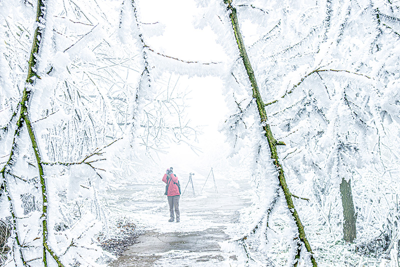雪景。張更生攝