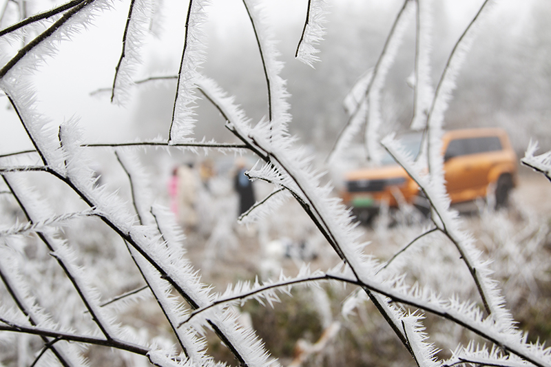 云霧山霧淞。錢信祥攝