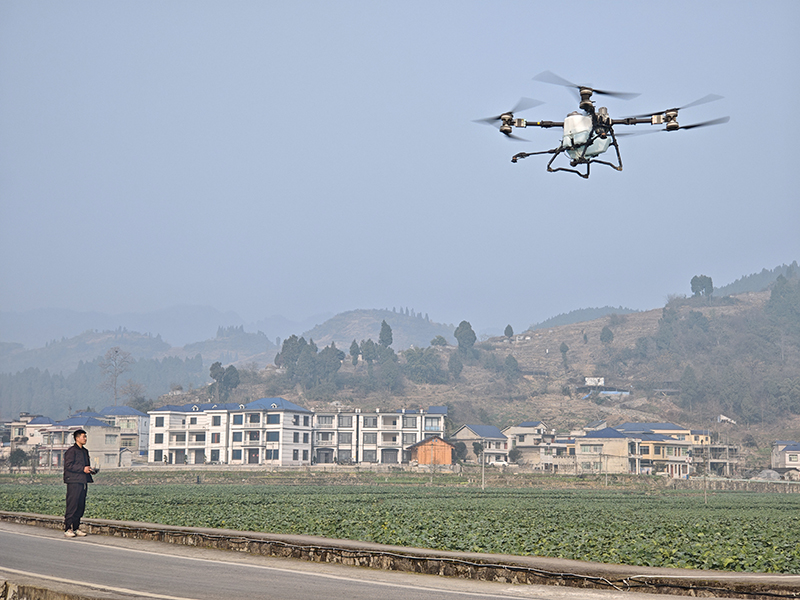 植保無人機飛防作業。