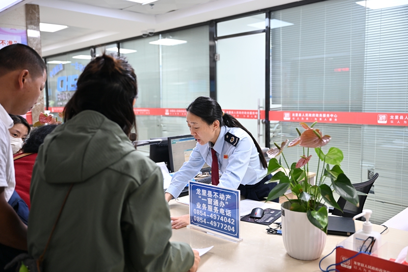 政務大廳稅務工作人員為納稅人辦理不動產交易業務。