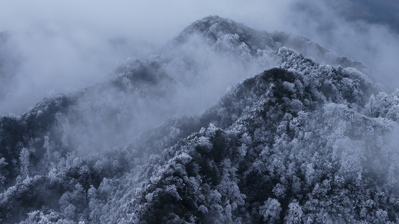 霧凇美景。