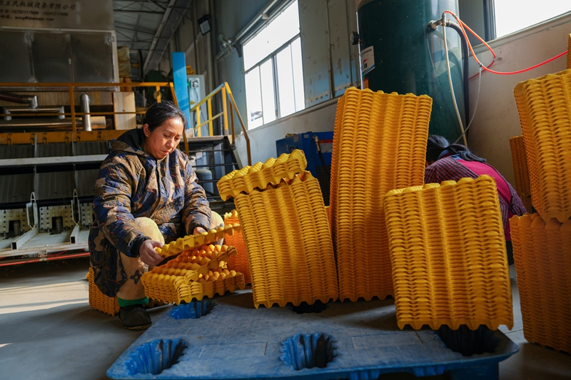 碧江區和平鄉產業振興。