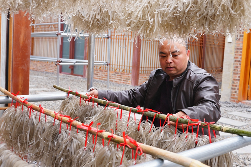 3.晾曬紅薯粉（鄒小朋 攝）
