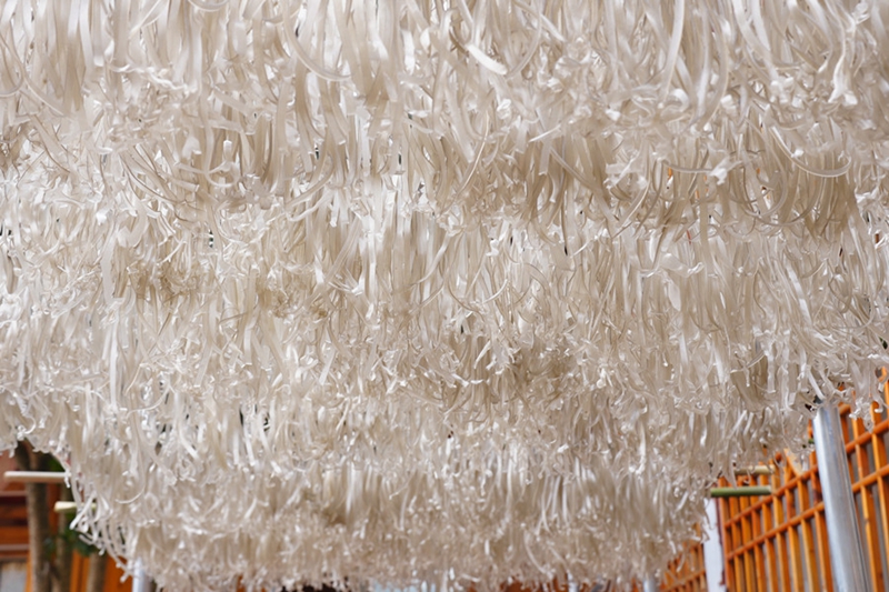 4.晾曬的紅薯粉（鄒小朋 攝）