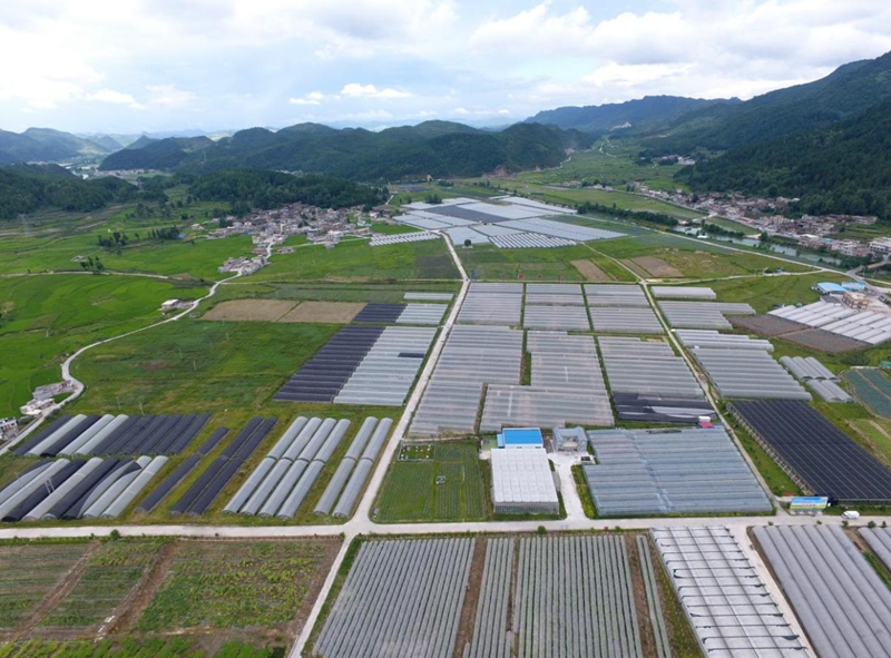 3 龍里縣叫水沖灌區保障農業現代化。潘希來 攝.jpg