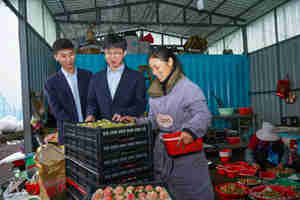 金融“活水”滋潤“莓”好生活讓金融“活水”持續(xù)精準澆灌“三農(nóng)”沃土……